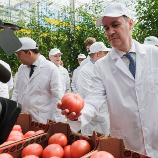 Министр сельского хозяйства РФ посетил АО «Тепличное»